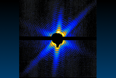 First single-shot diffraction image of a
			  virus, the first steps of a new technology.